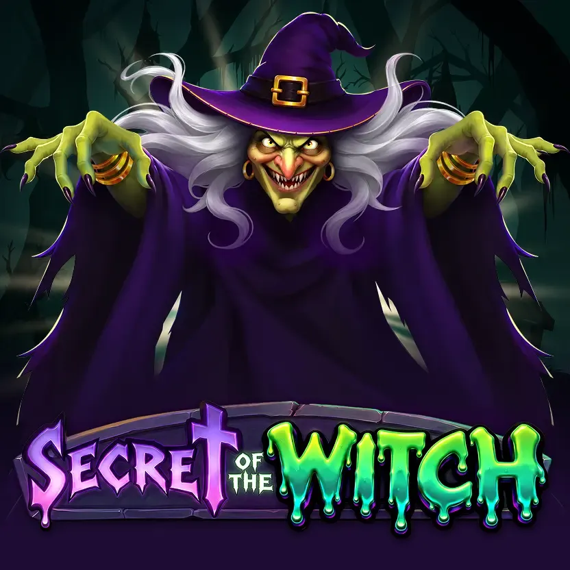 Secret of the Witch cover